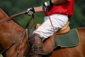 vive la pasion del polo en estancias exclusivas qvxwfvlwxb8q89vilhsa3mni6efearrhejrlvcu7c0